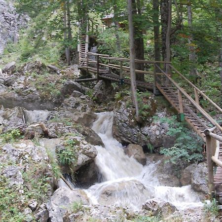 Apartments Am Kirchkogel "Laendliche Entspannung Im Herzen Der Steiermark" Pernegg an der Mur Esterno foto