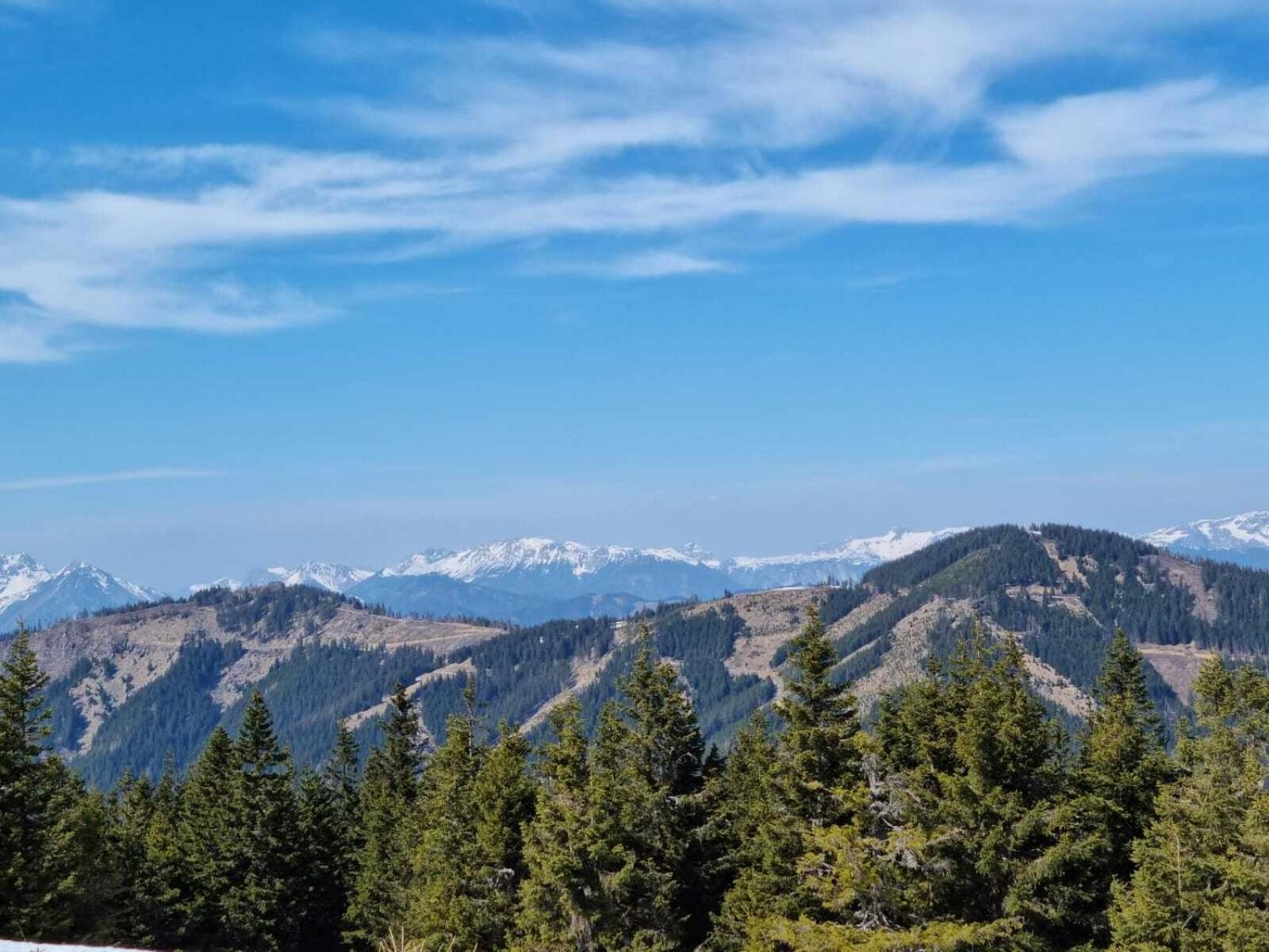 Apartments Am Kirchkogel "Laendliche Entspannung Im Herzen Der Steiermark" Pernegg an der Mur Camera foto