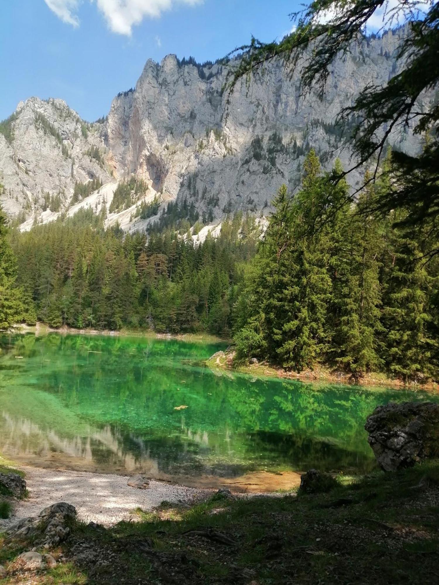 Apartments Am Kirchkogel "Laendliche Entspannung Im Herzen Der Steiermark" Pernegg an der Mur Camera foto